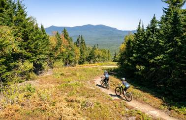Mountain bikers on trail