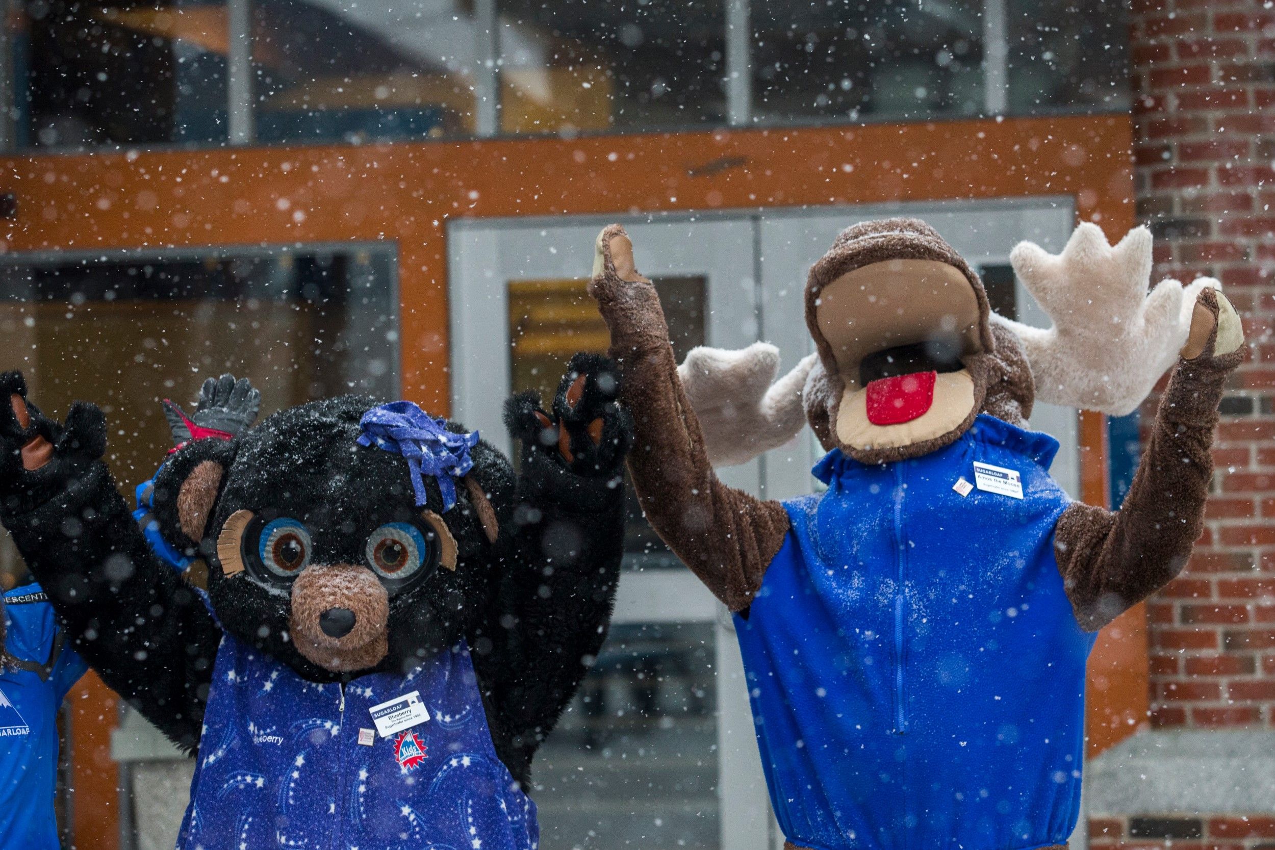 Blueberry the Bear and Amos the Moose