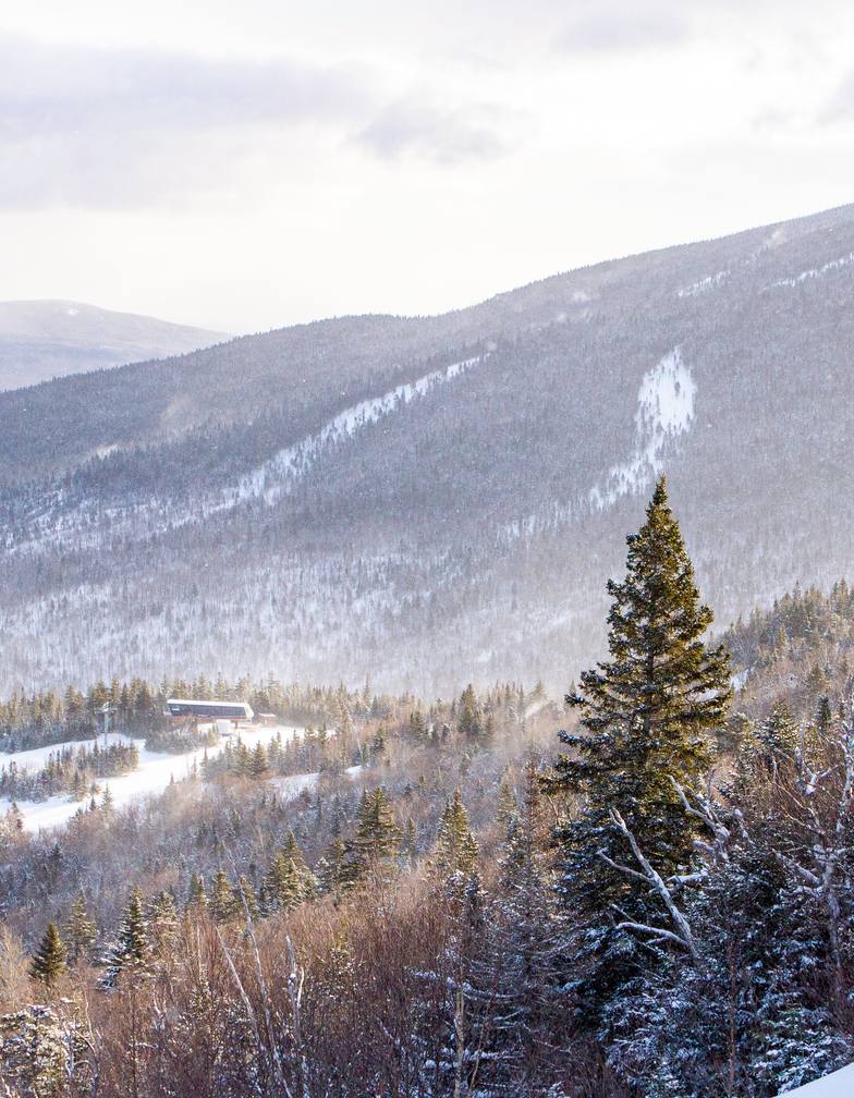 View of Burnt Mountain from a trail at Sugarloaf