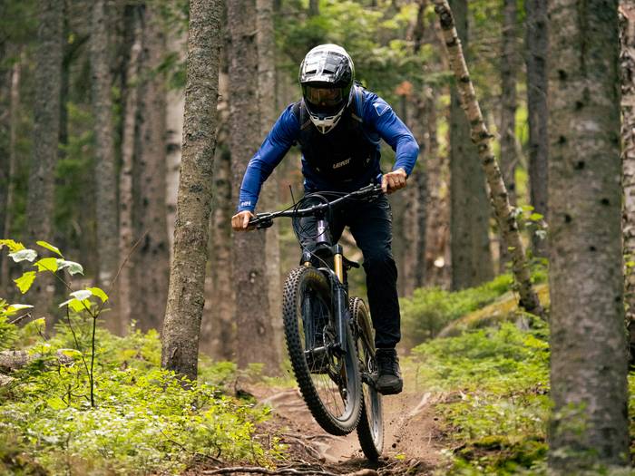 Mountain biker in evergreen forest