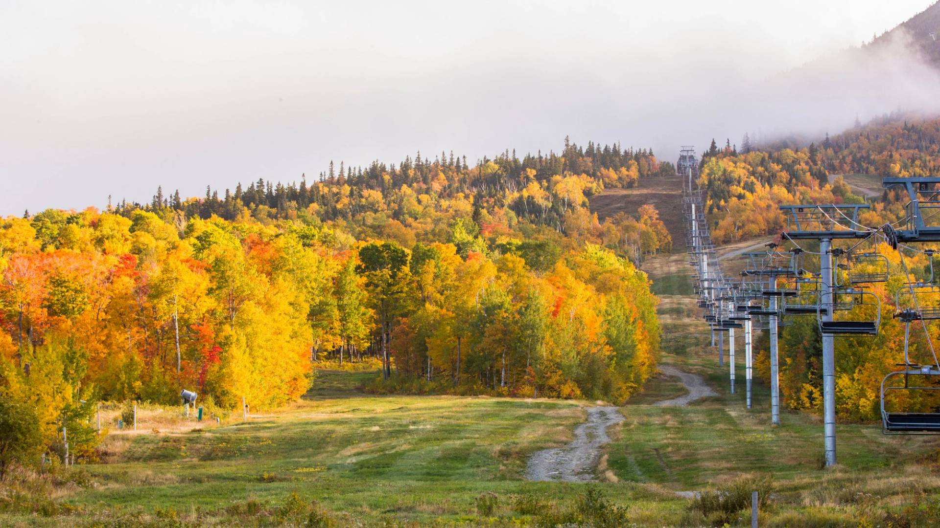 Scenic Chairlift Rides