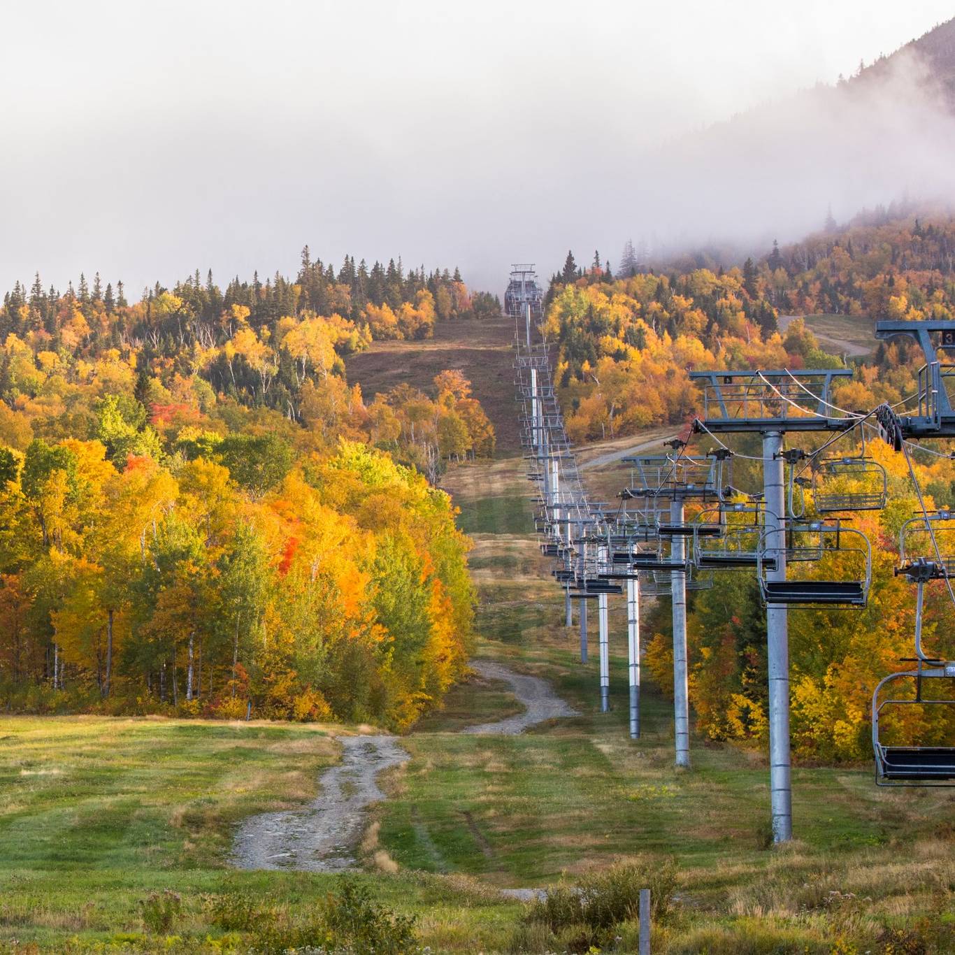Fall foliage from the lift