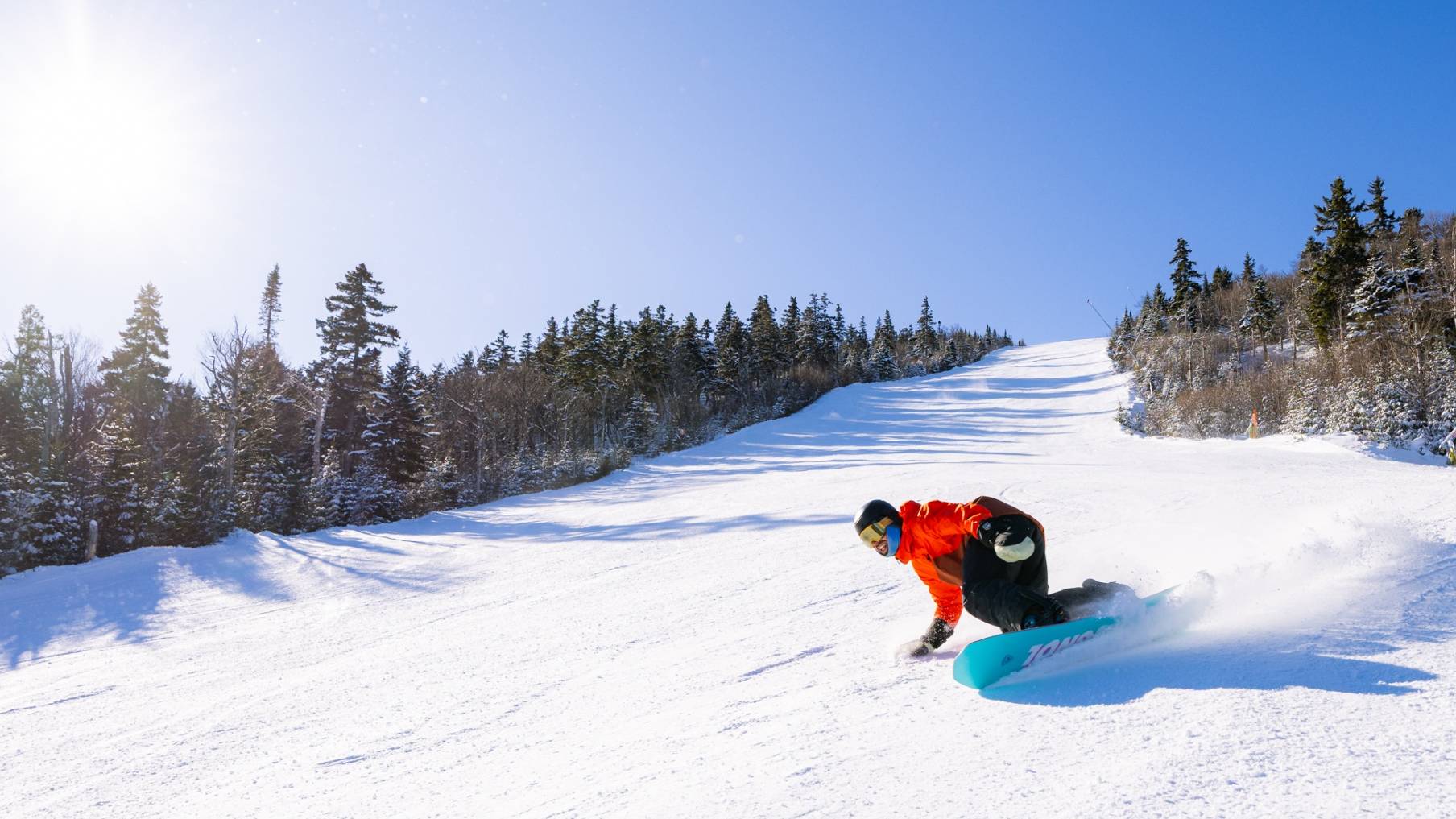 Snowboarder carving on trail