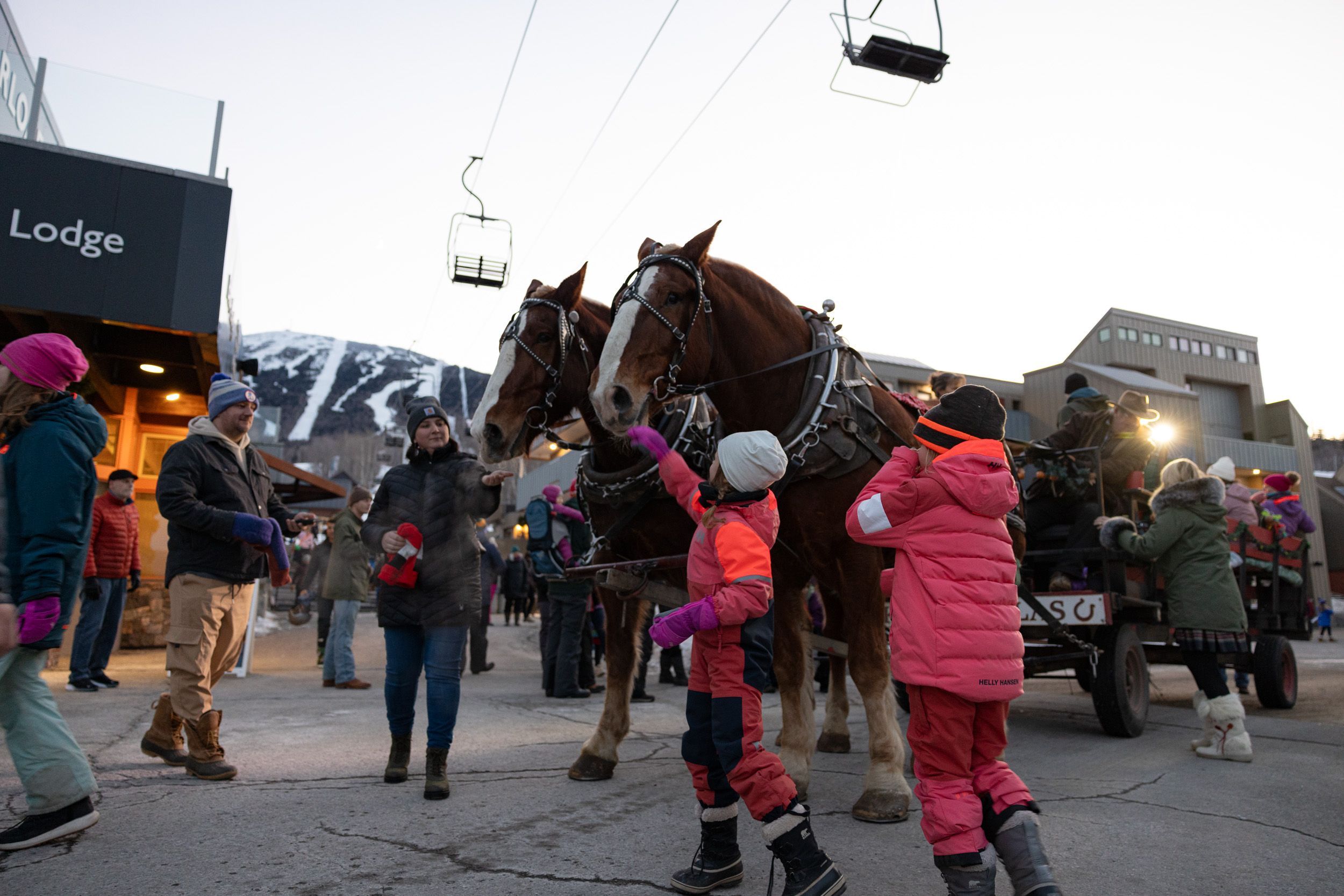 Kids petting horse