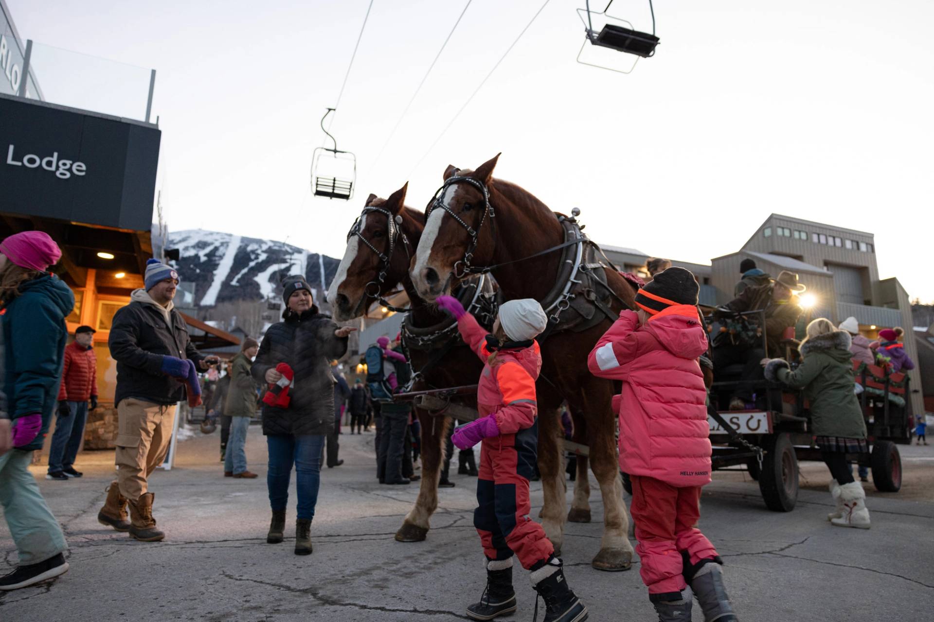 Kids petting horse