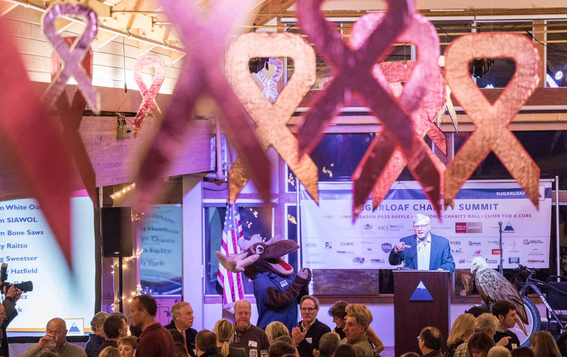 Sugarloaf Charity Summit Live Auction