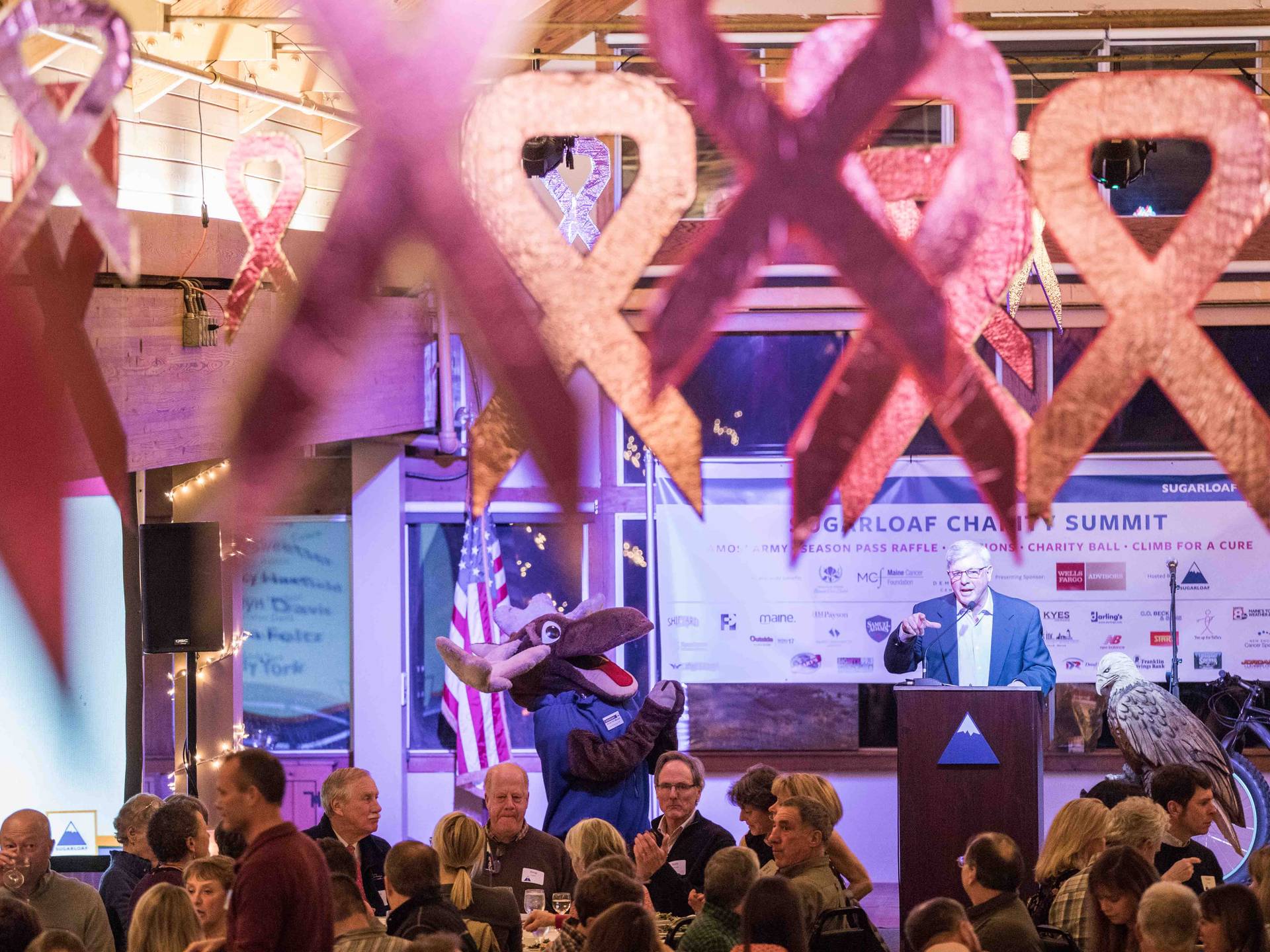 Sugarloaf Charity Summit Gala speaker on stage