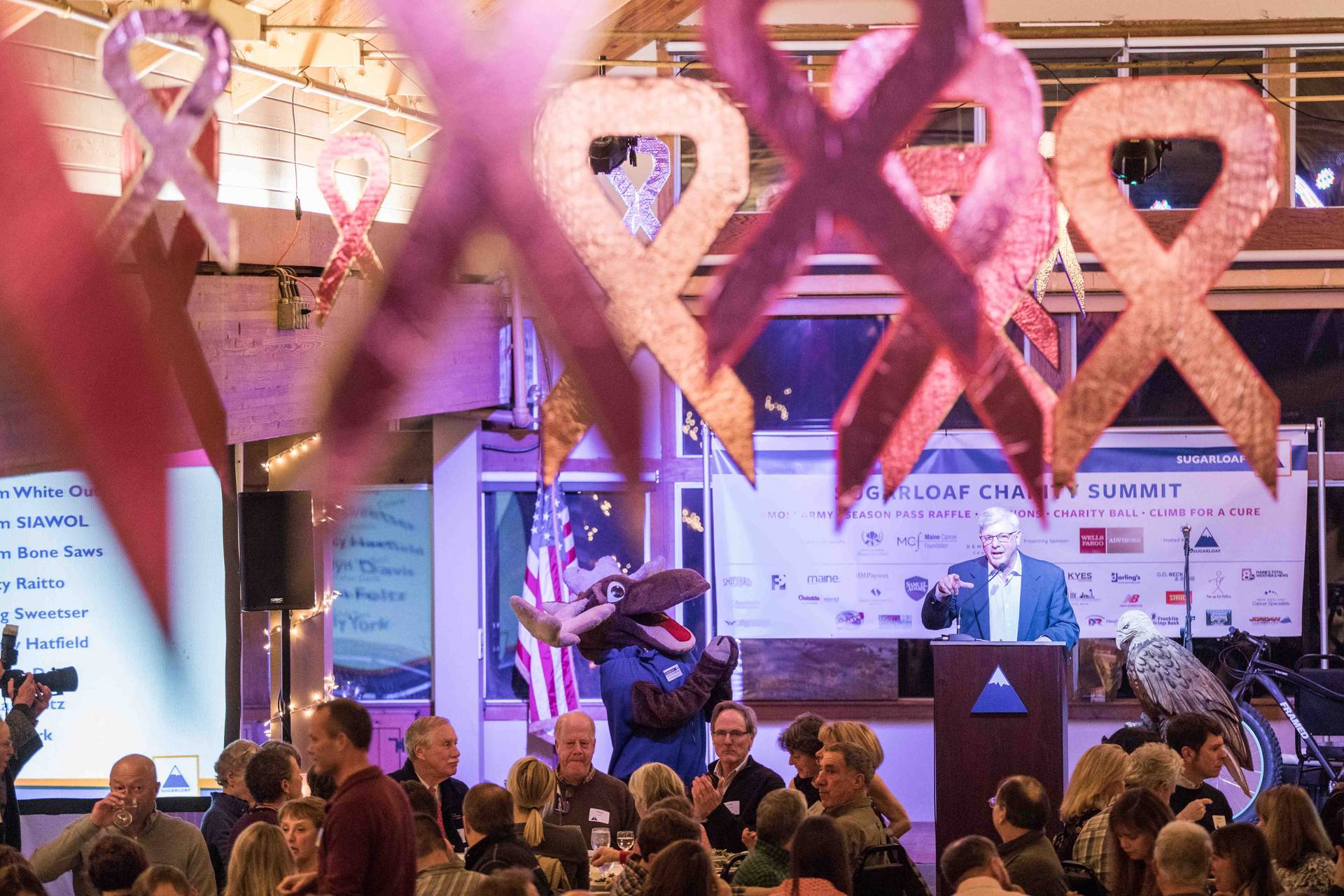 Sugarloaf Charity Summit Live Auction