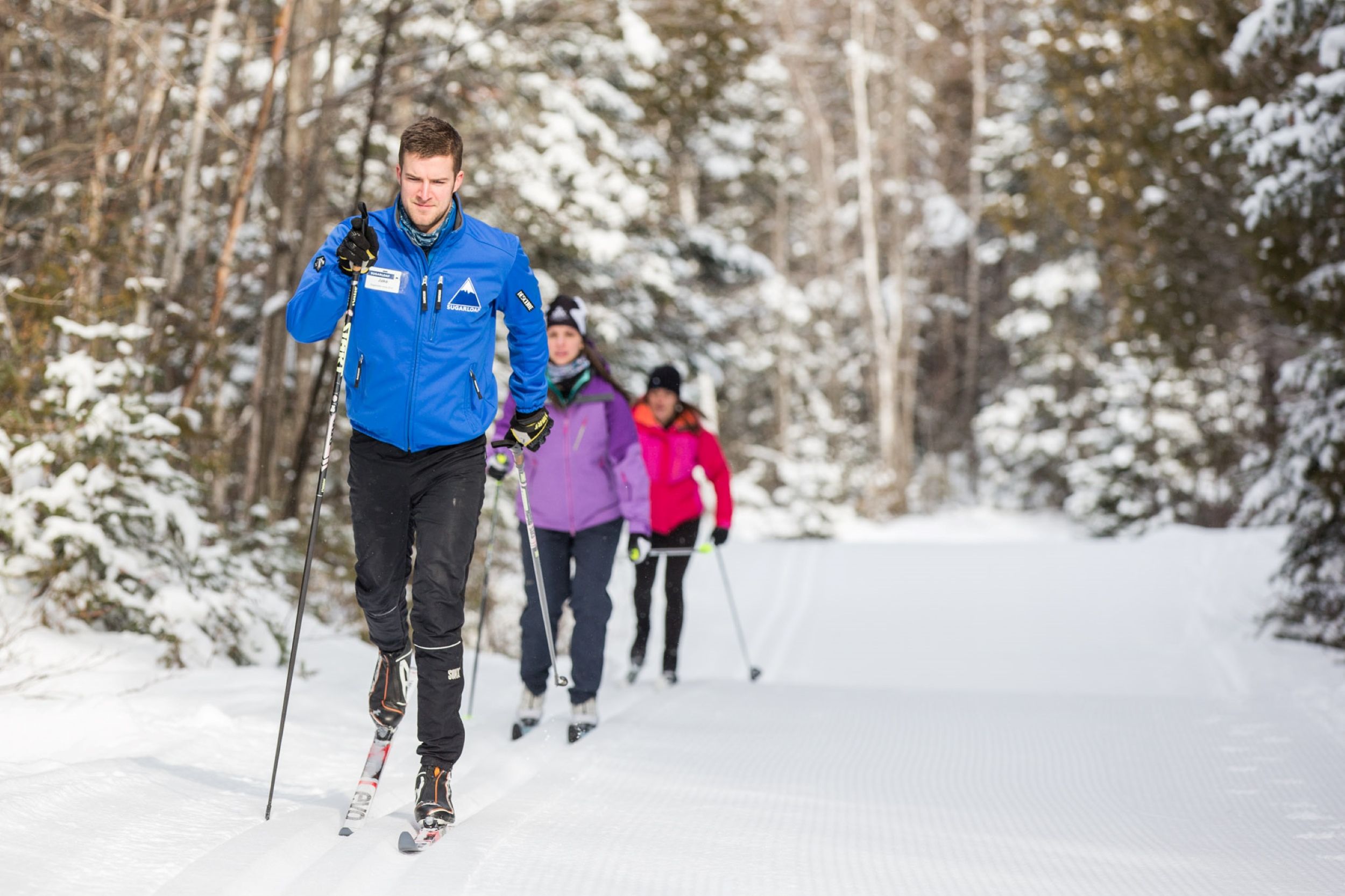 Nordic skiers on trail