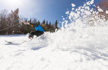 spring skier