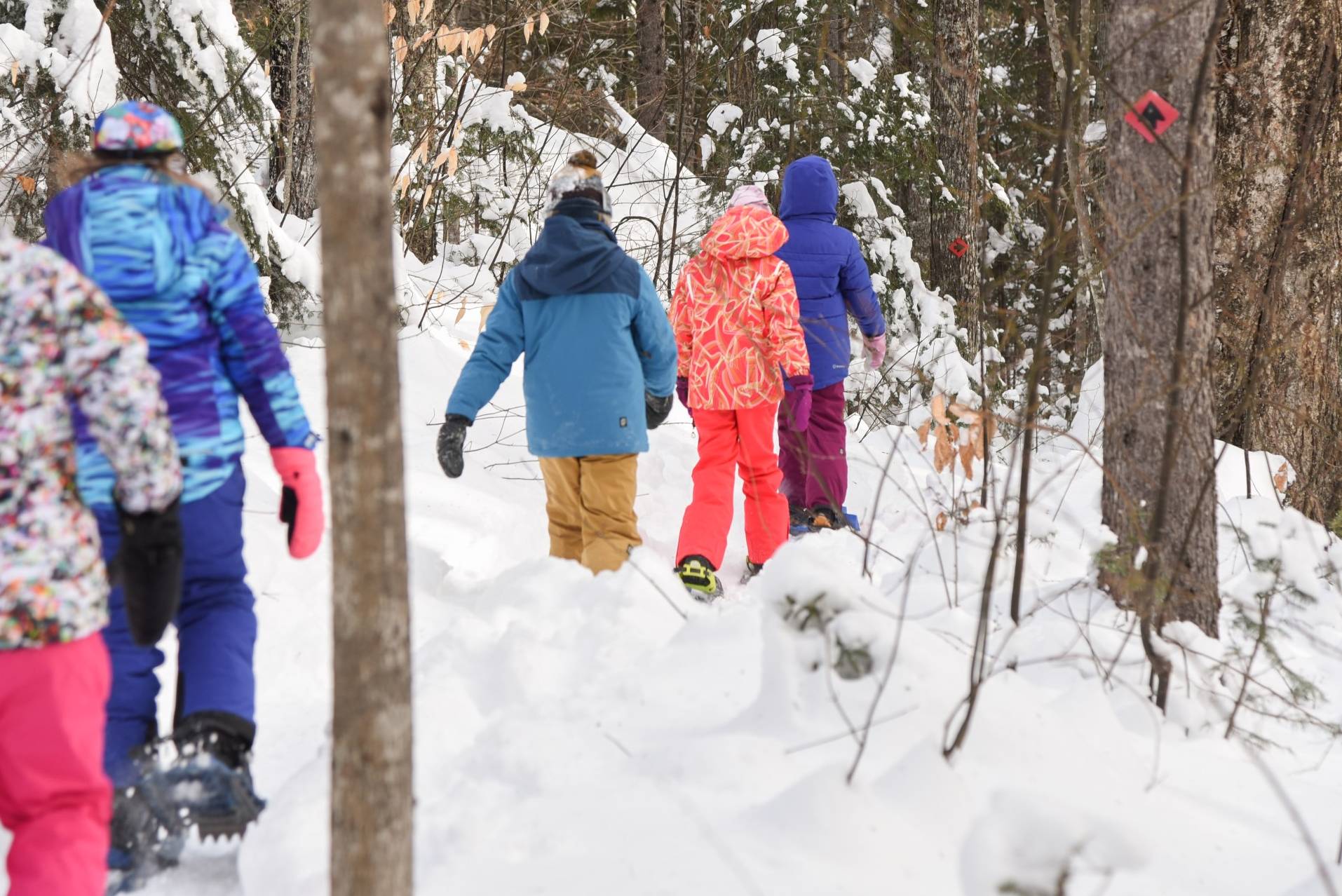 Children snowshoeing through the trees