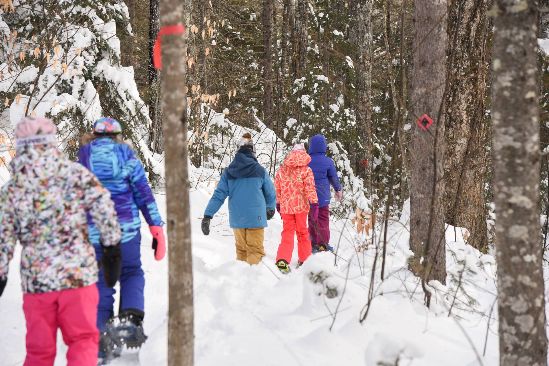 Children Snow Shoeing