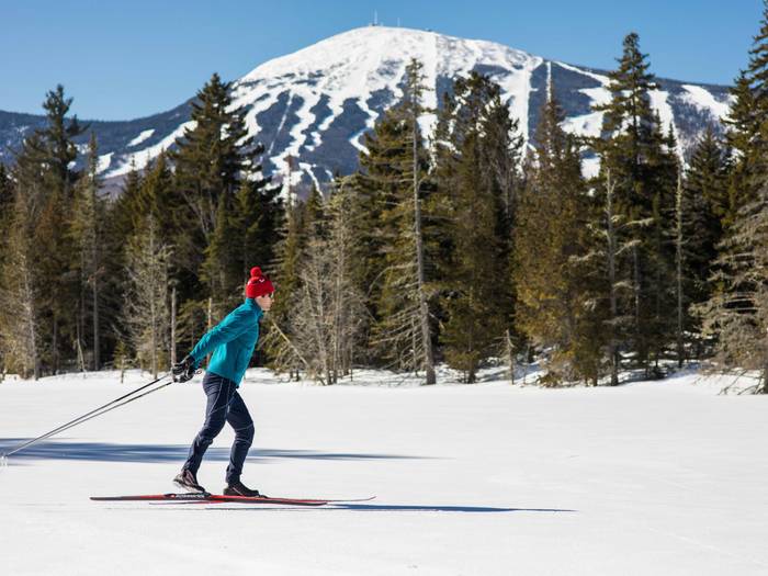 nordic skier with mountain background