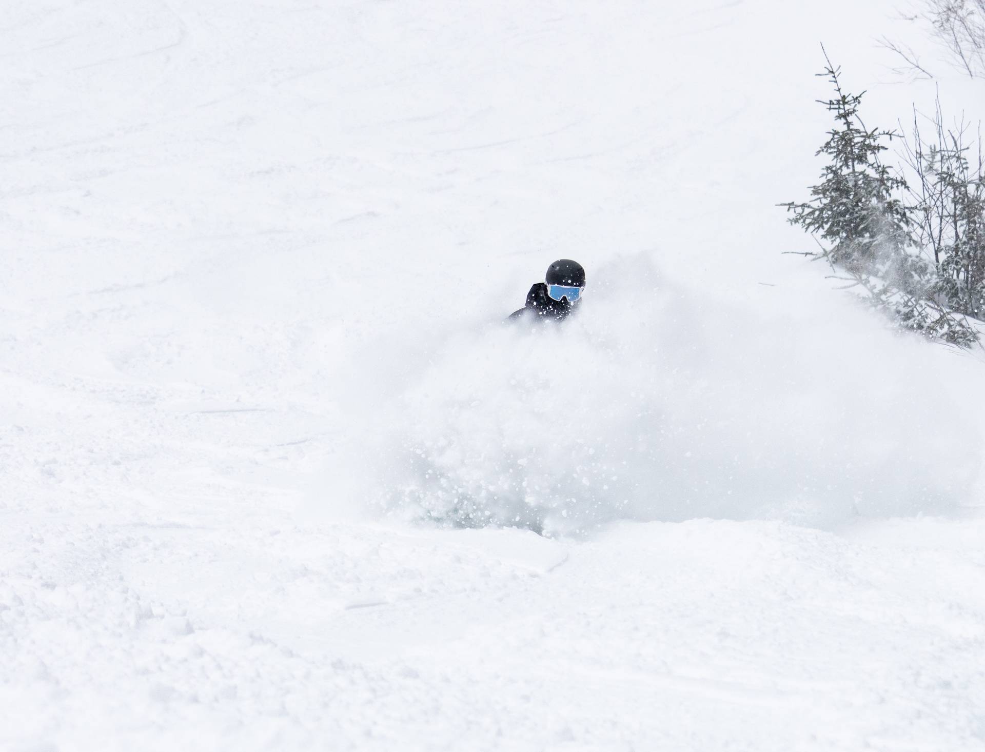Snowboarder in black carves through perfect powder