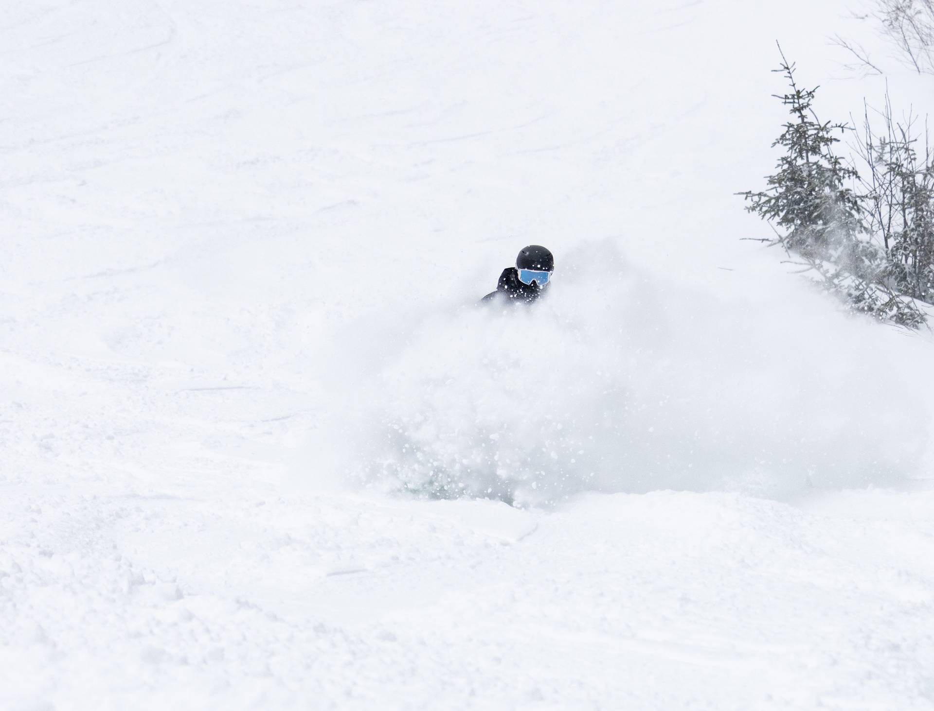 Snowboarder in black carves through perfect powder