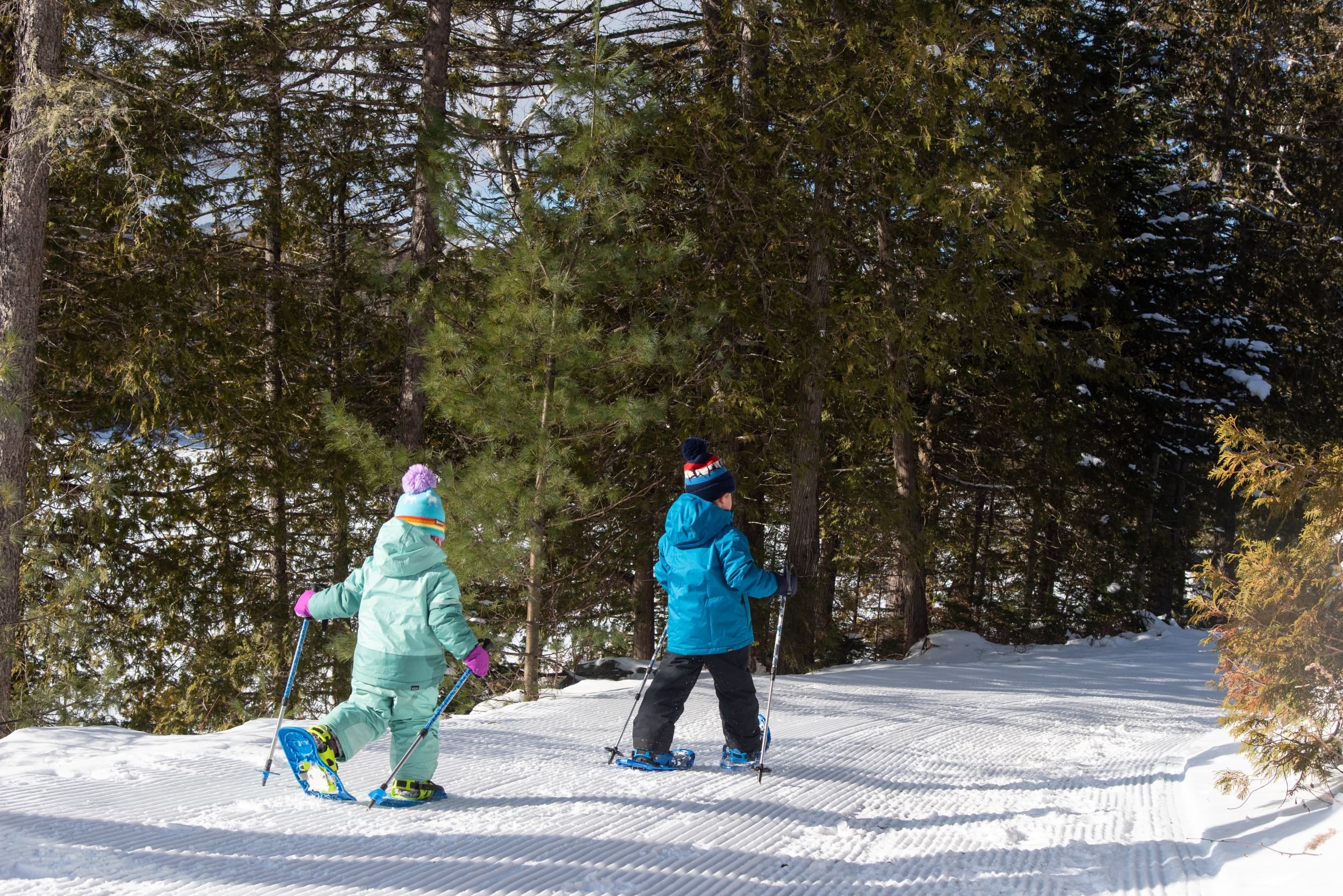 Young snowshoers on trail