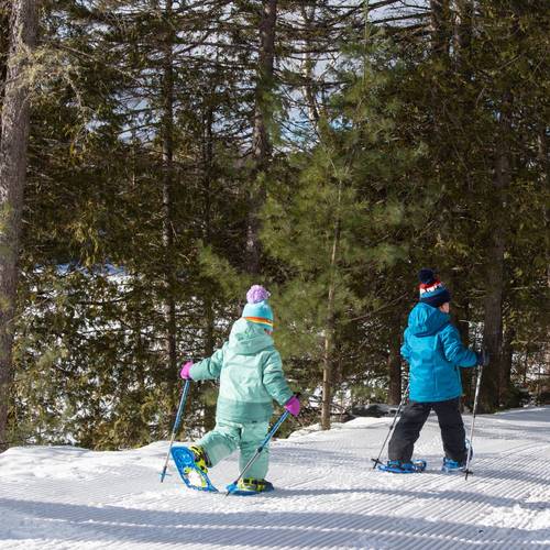 Young snowshoers on trail