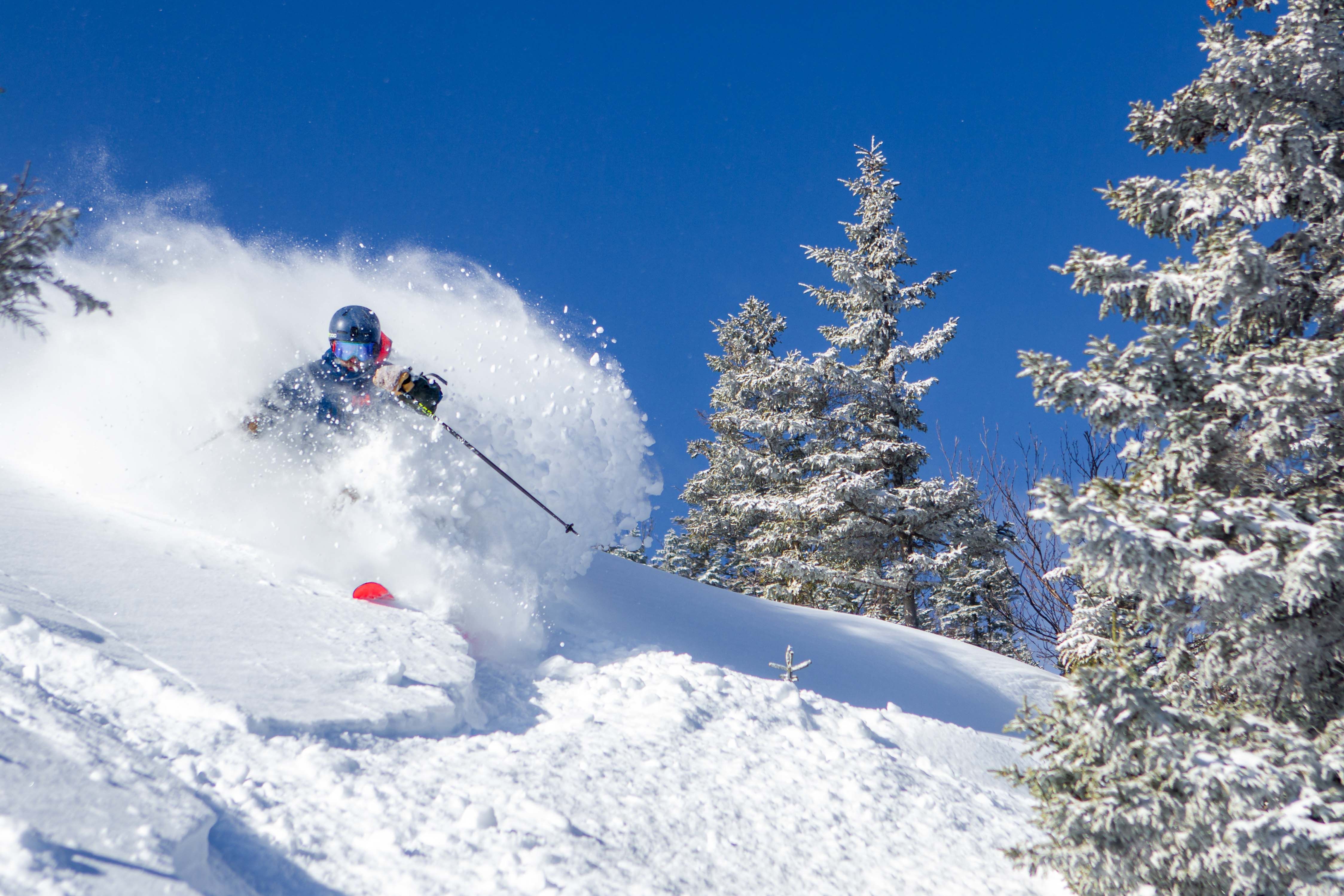 Skier in Powder