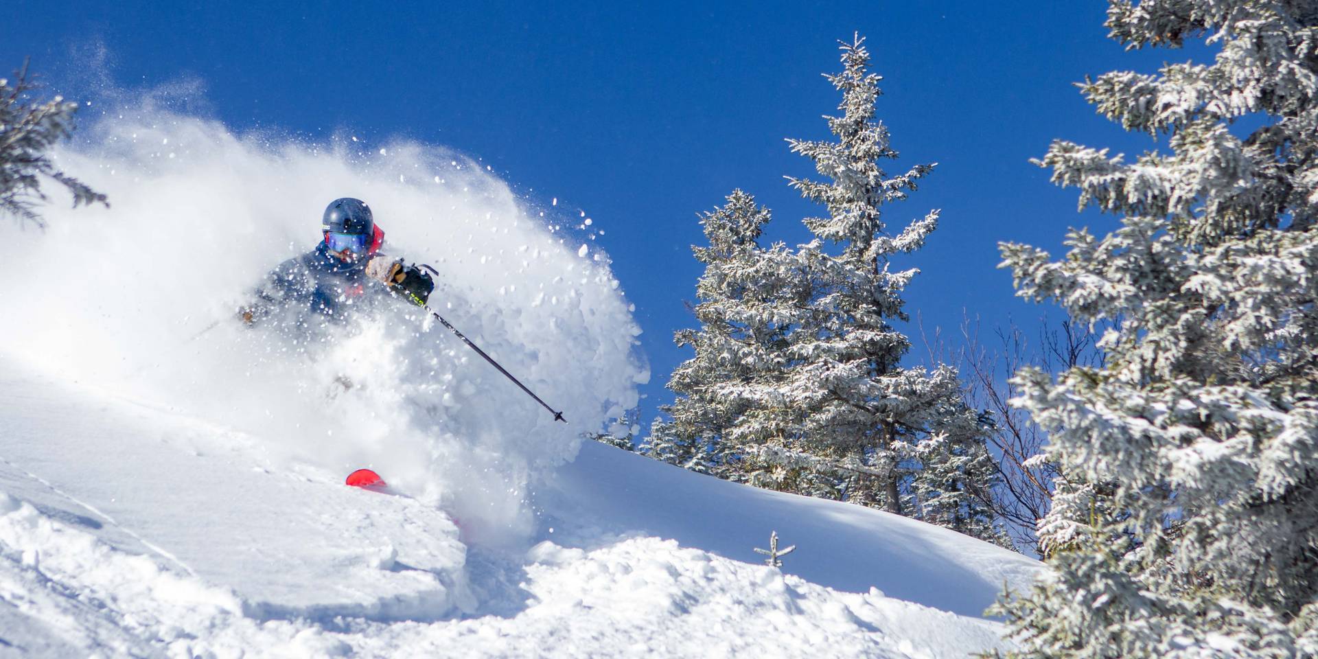 Skier in Powder