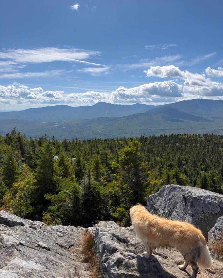 Archie on Bigelow Summit