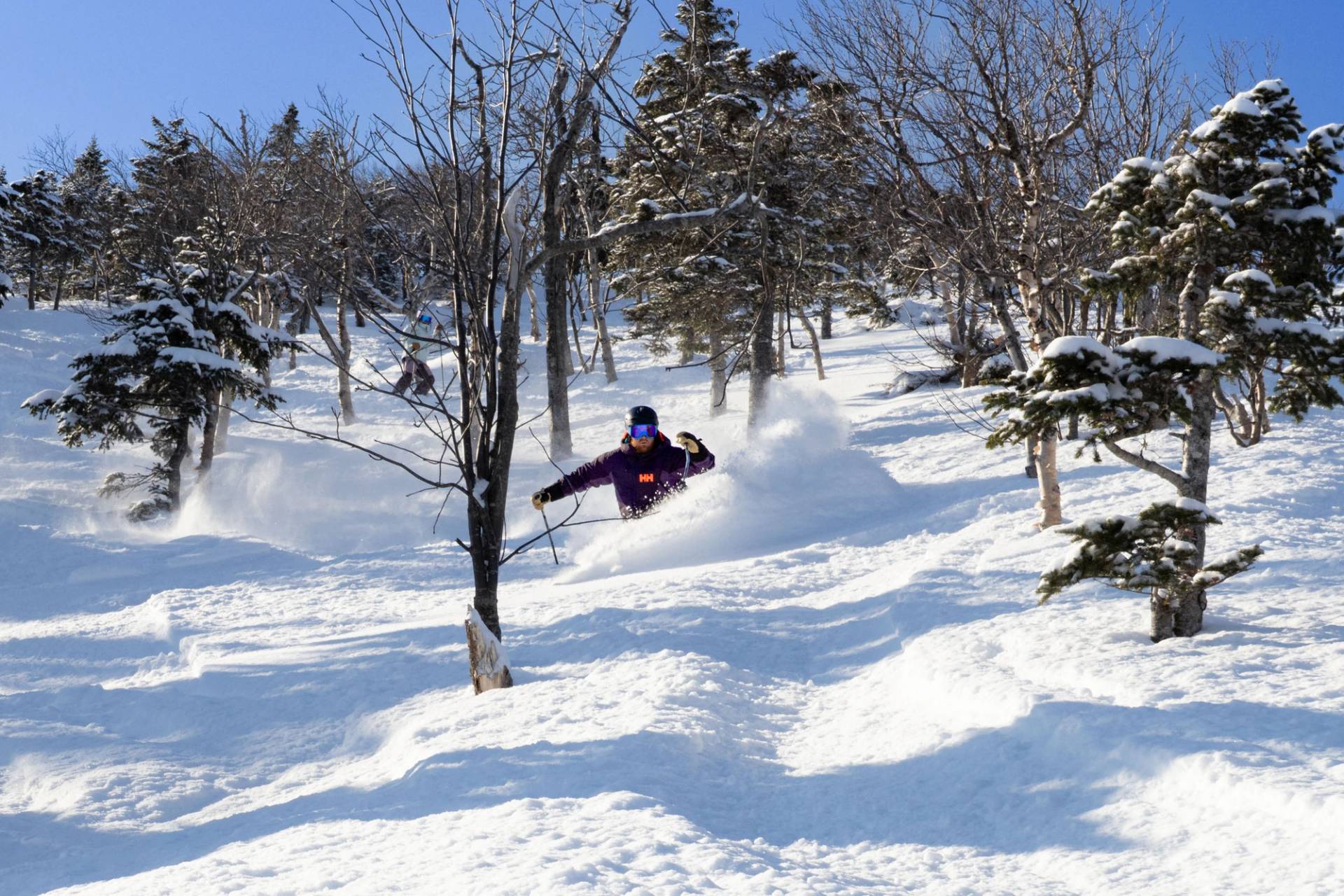 A skier in deep powder in the trees