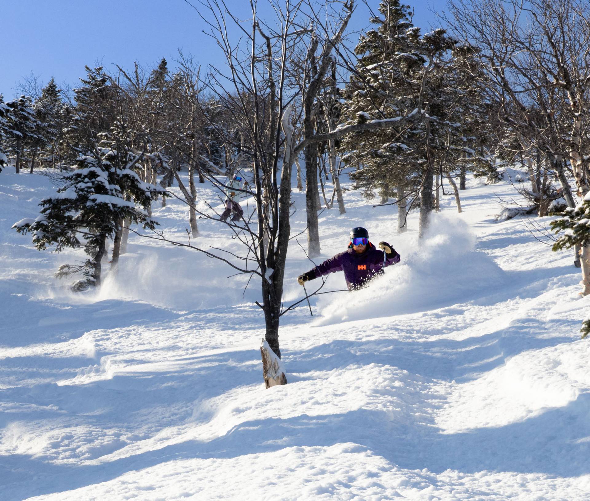 A skier in deep powder in the trees