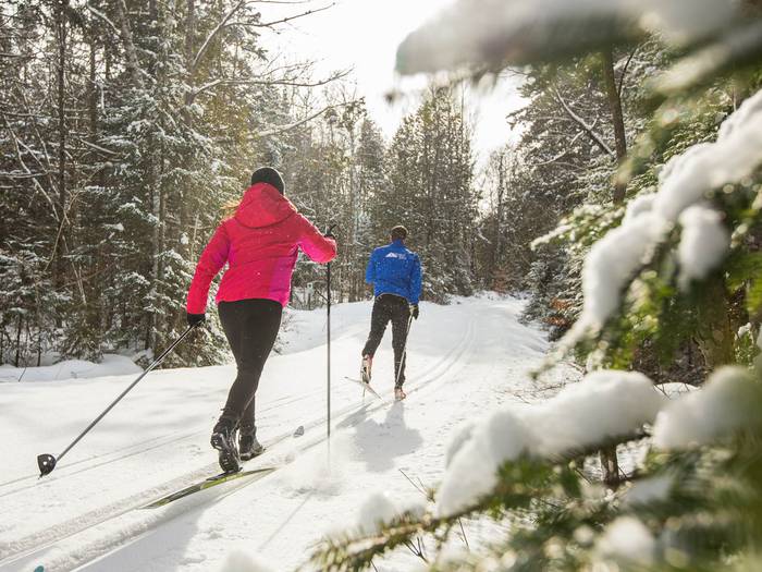 Two cross-country skiers enjoying fresh snow