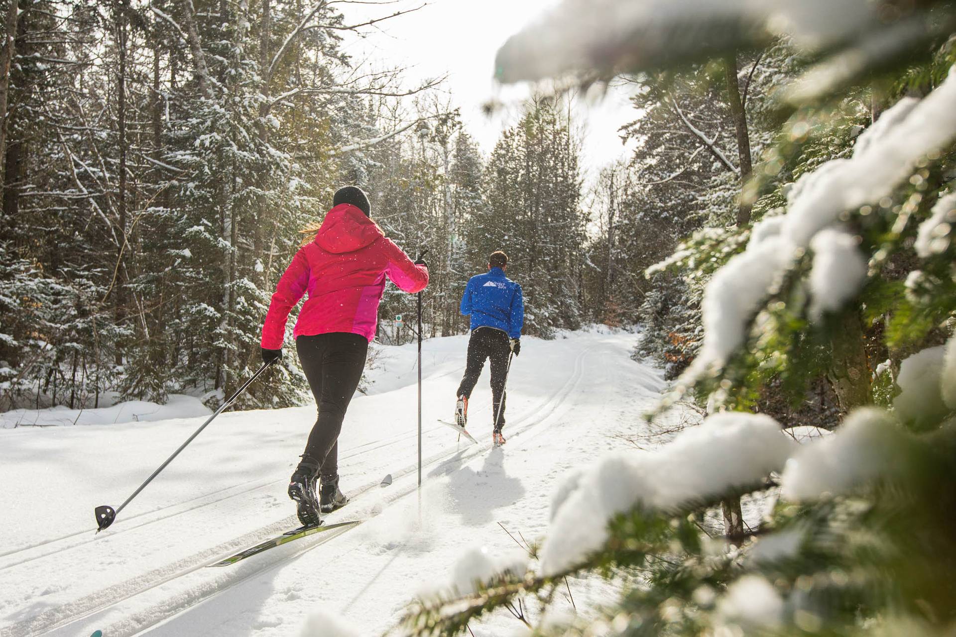 Nordic Skiers at Sugarloaf Outdoor Center