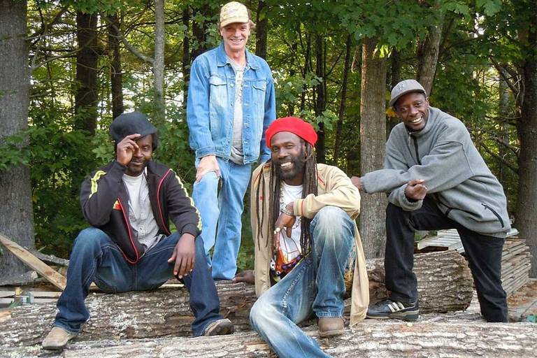 Stream Reggae Band sitting on a tree