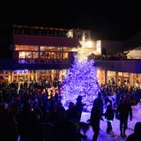 Crowd gathered around Christmas Tree