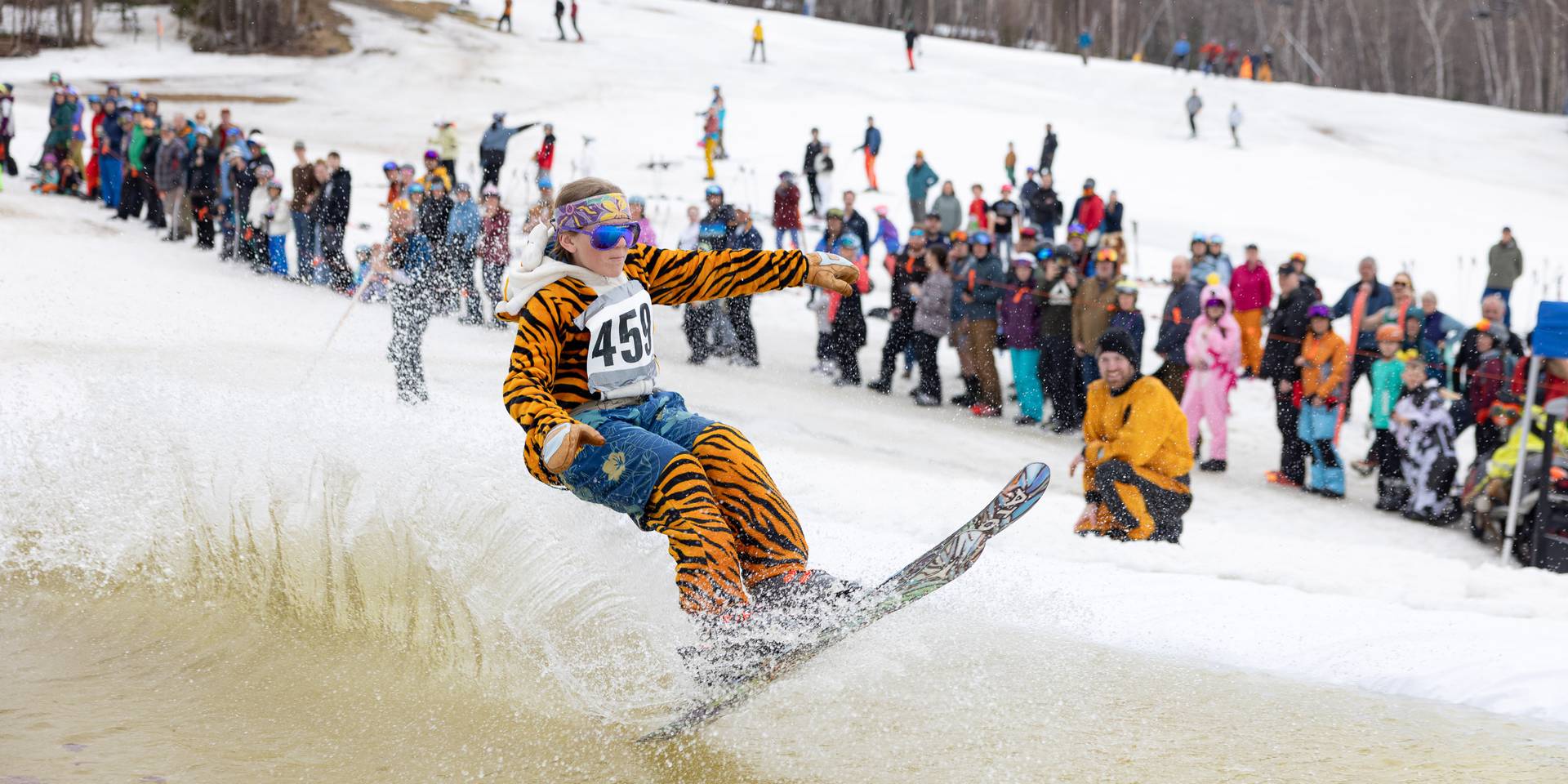 Pond skimmer in tiger outfit