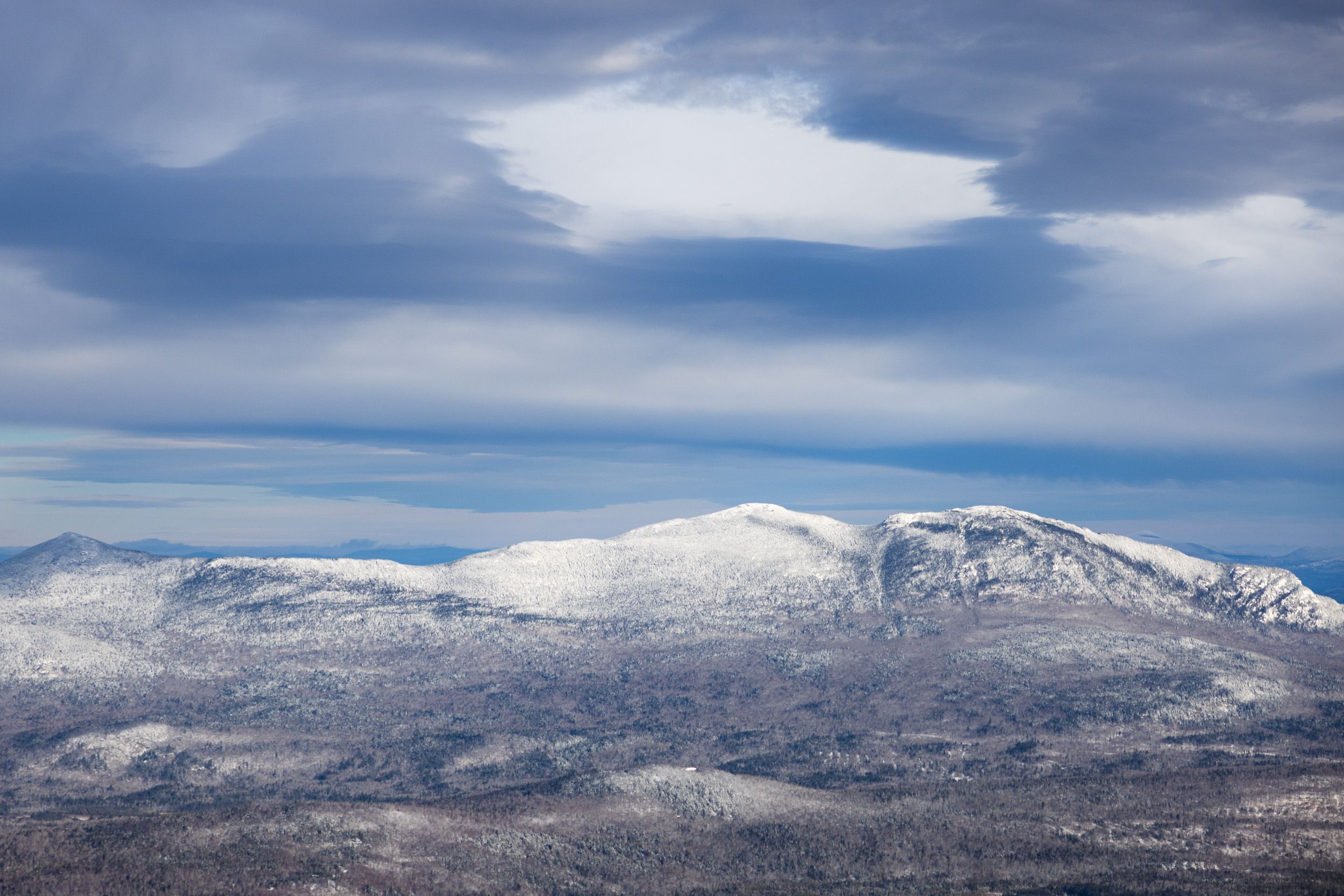 Bigelows in the winter