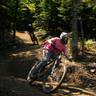 Mountain biker on wooded trail