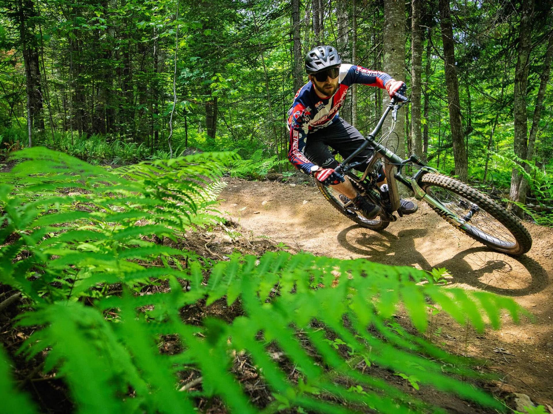 Biker amongst ferns