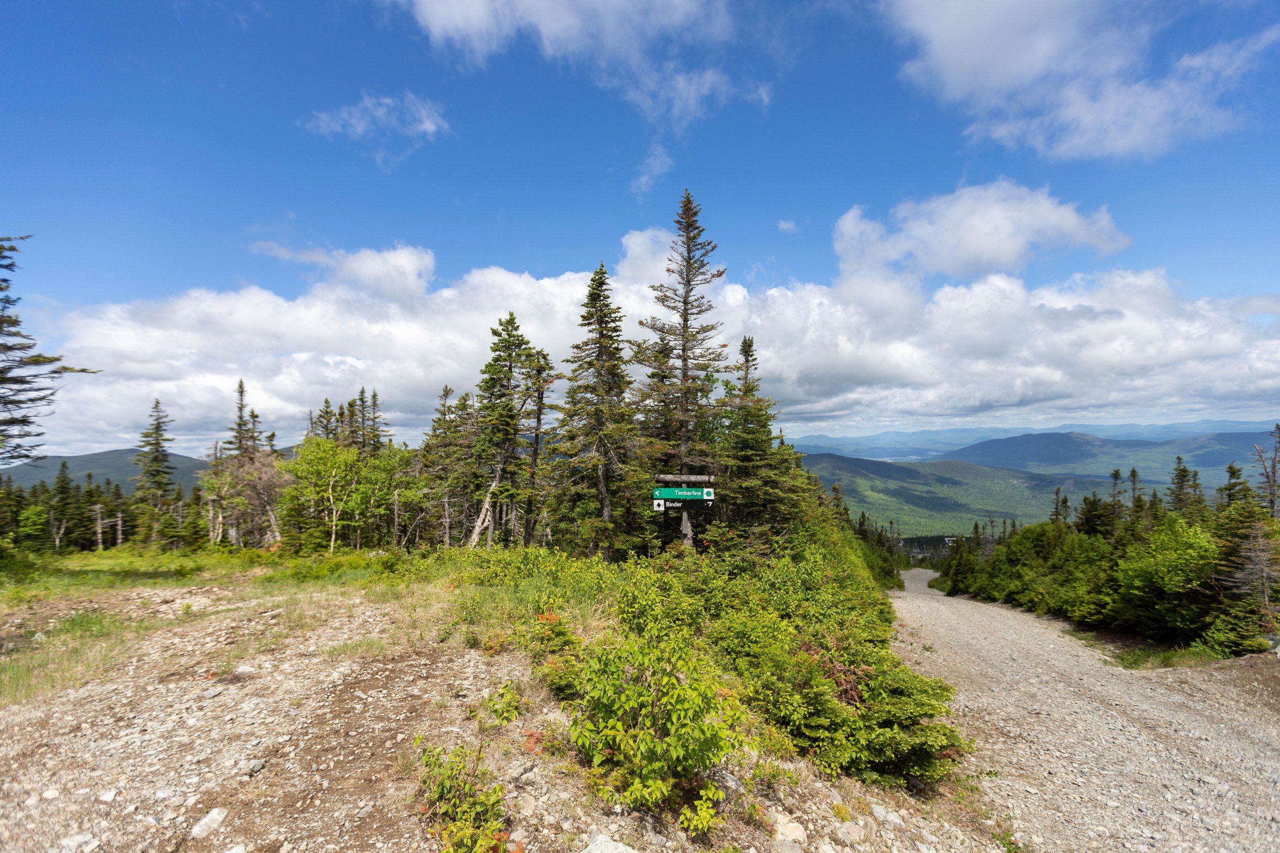Sugarloaf signs on crosscut