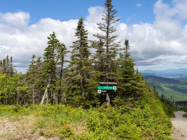 Sugarloaf signs on crosscut
