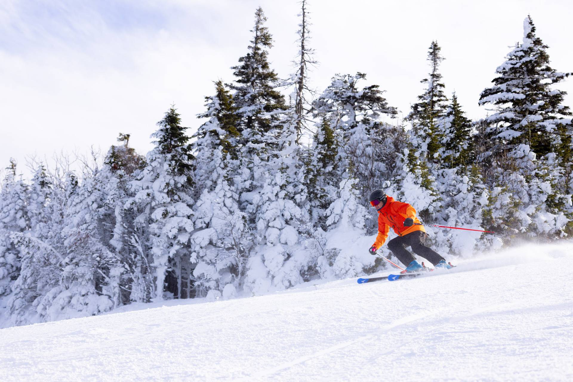 Skier on snowy trail