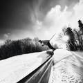 skier on rail
