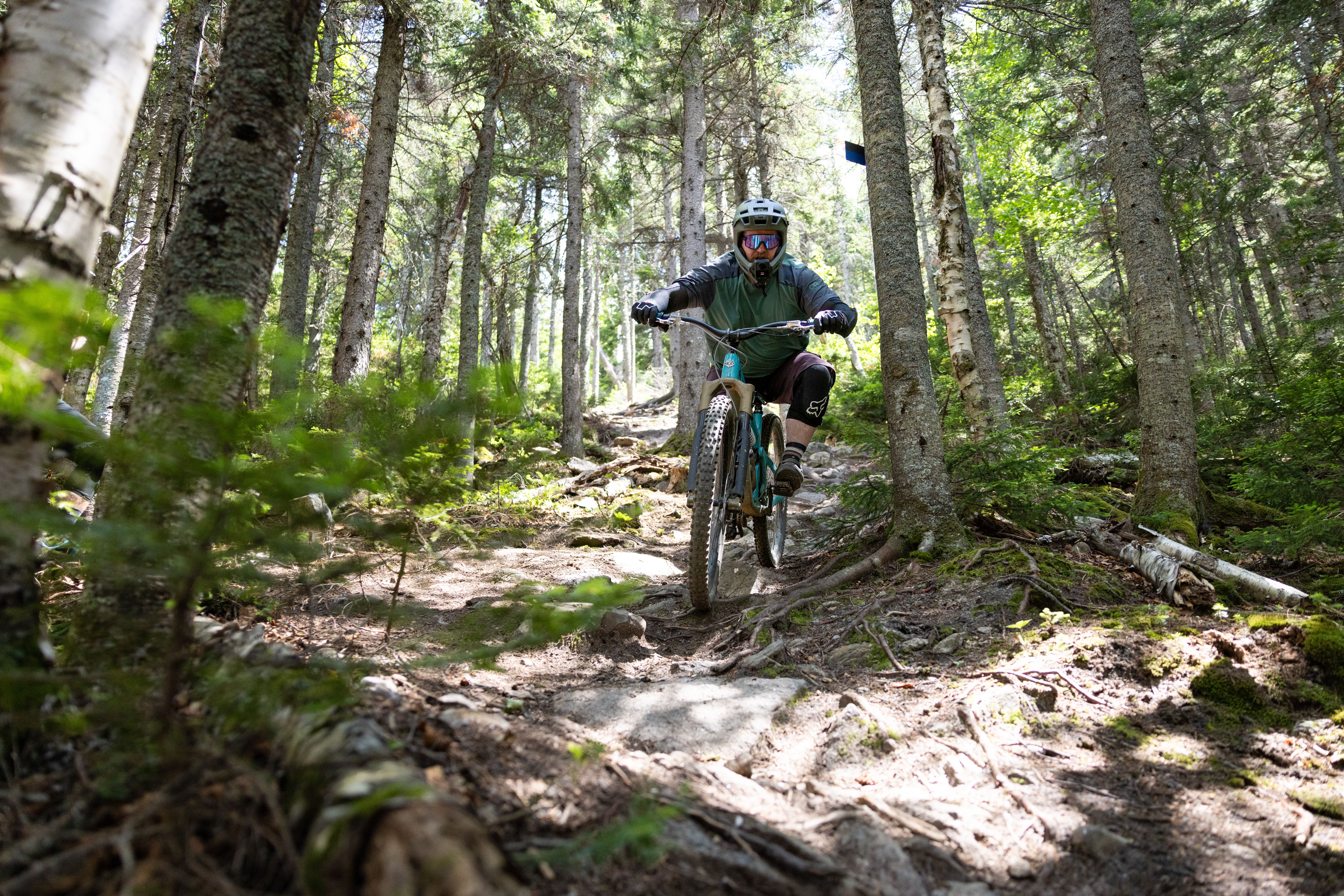Rider on a tech trail
