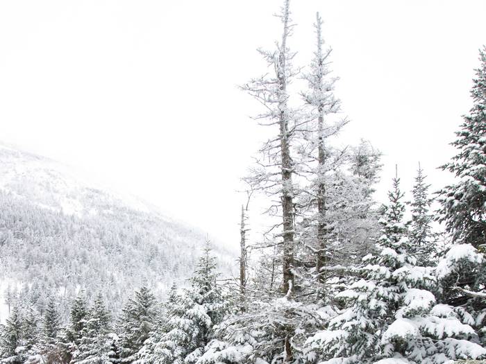 snowboarders hiking up the golden road