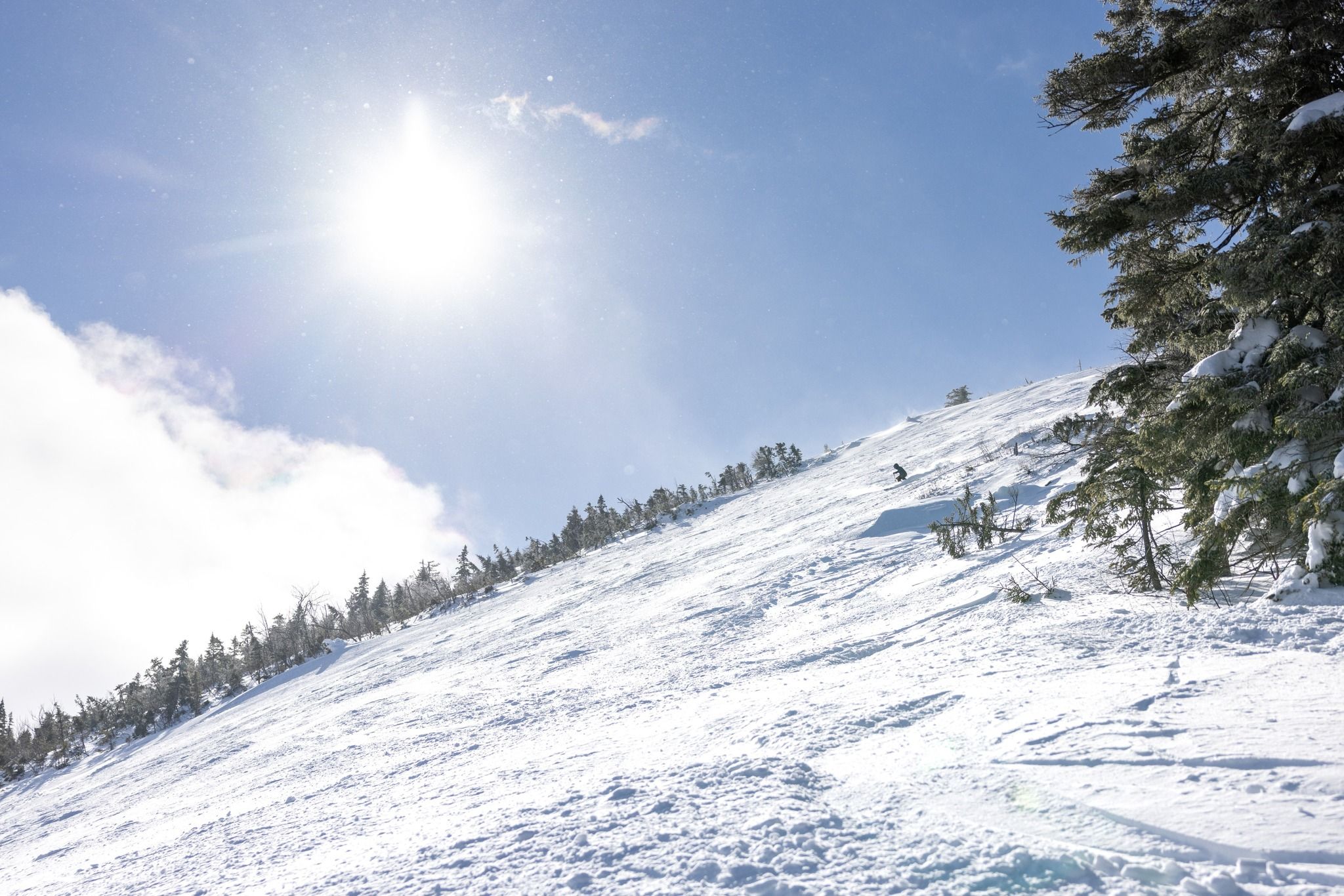 Sunshine on Nitro trail