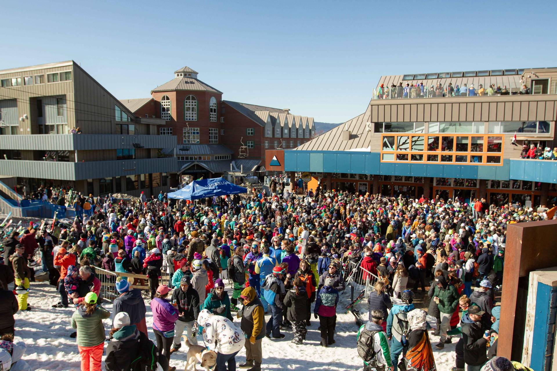 party goes on the beach