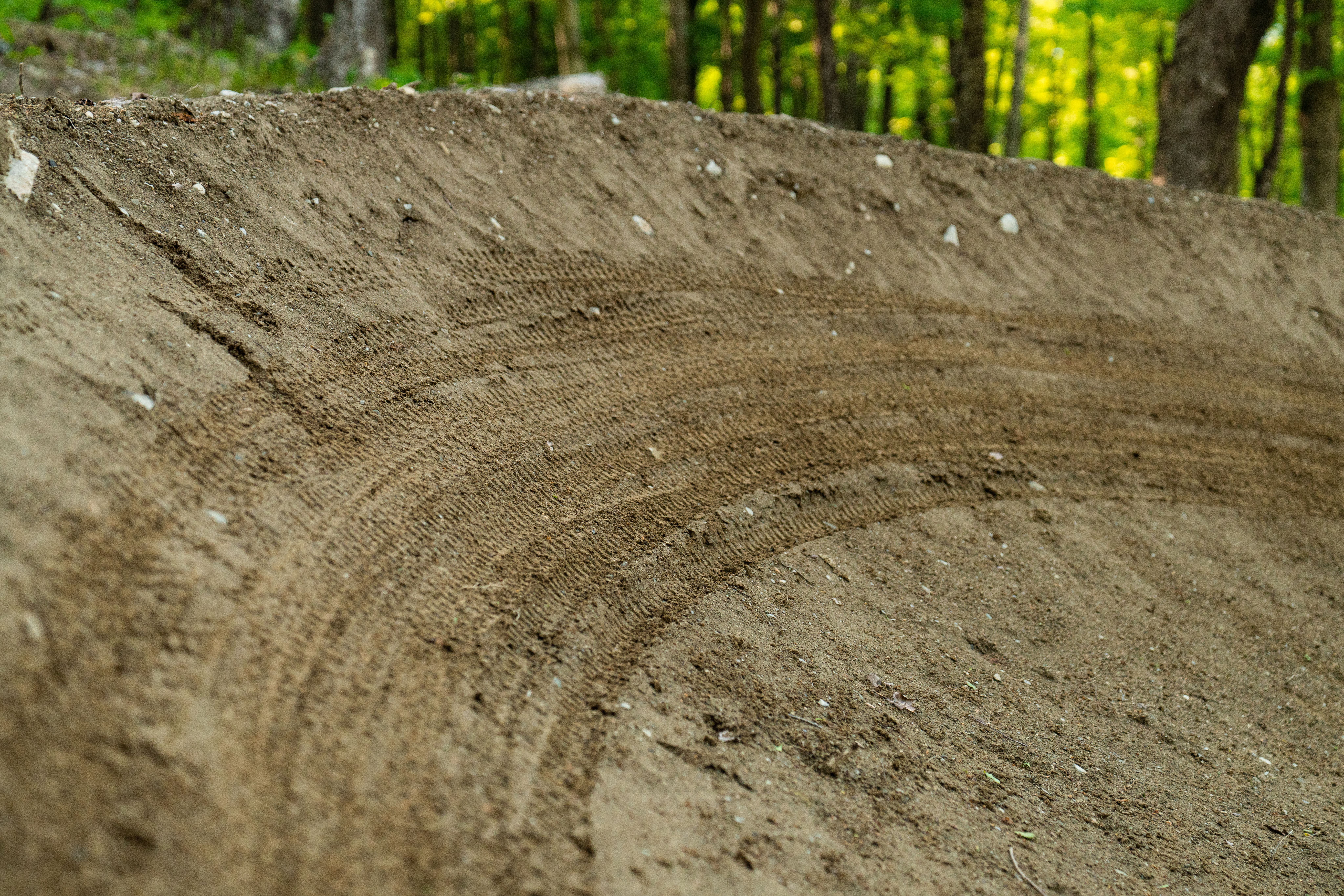 bike treads marks on trail