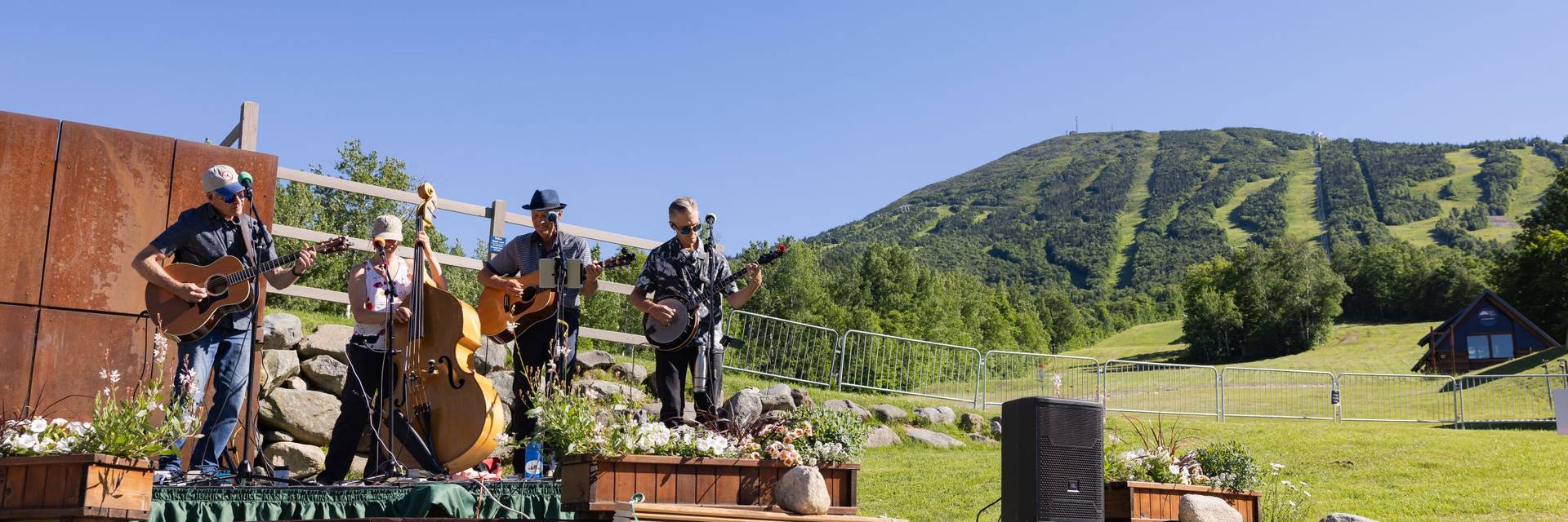 Summer après series musicians