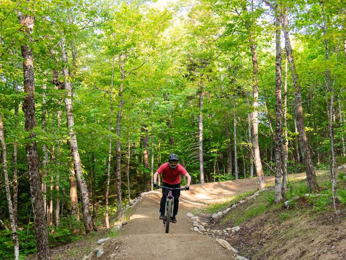 Mountain Biker on trail