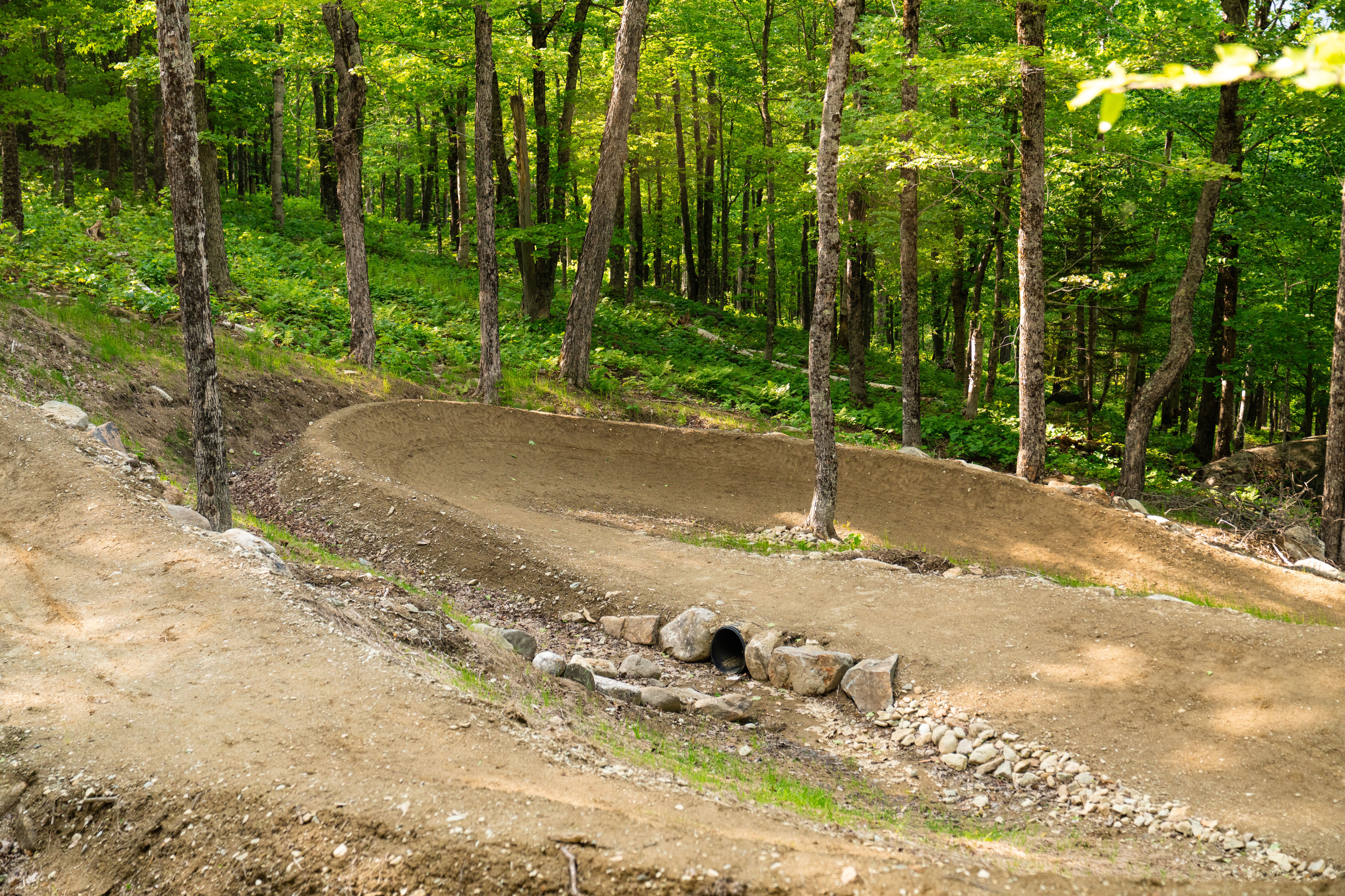 Mountain bike trail 