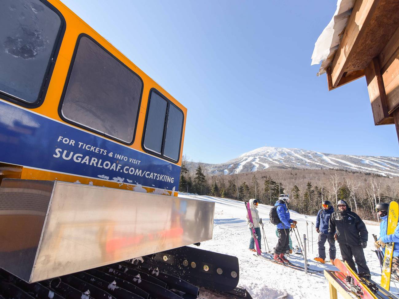 Friends gather beside a cat, the machine not the animal