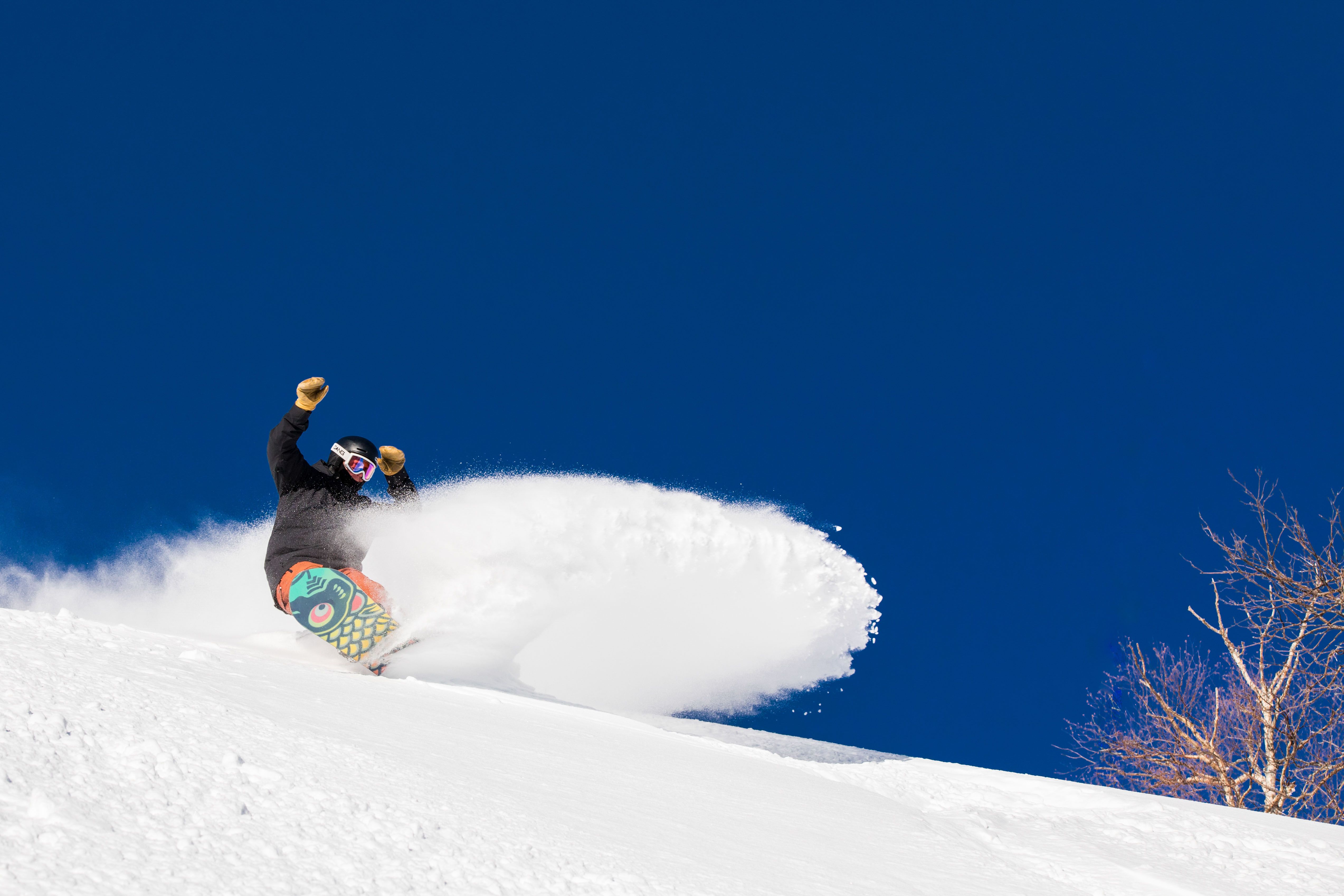 Snowboarder in Powder