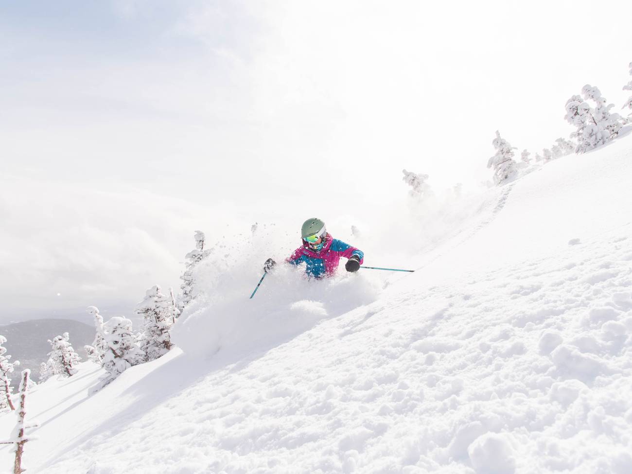 Skier slashes through fluffy powder yeehaw