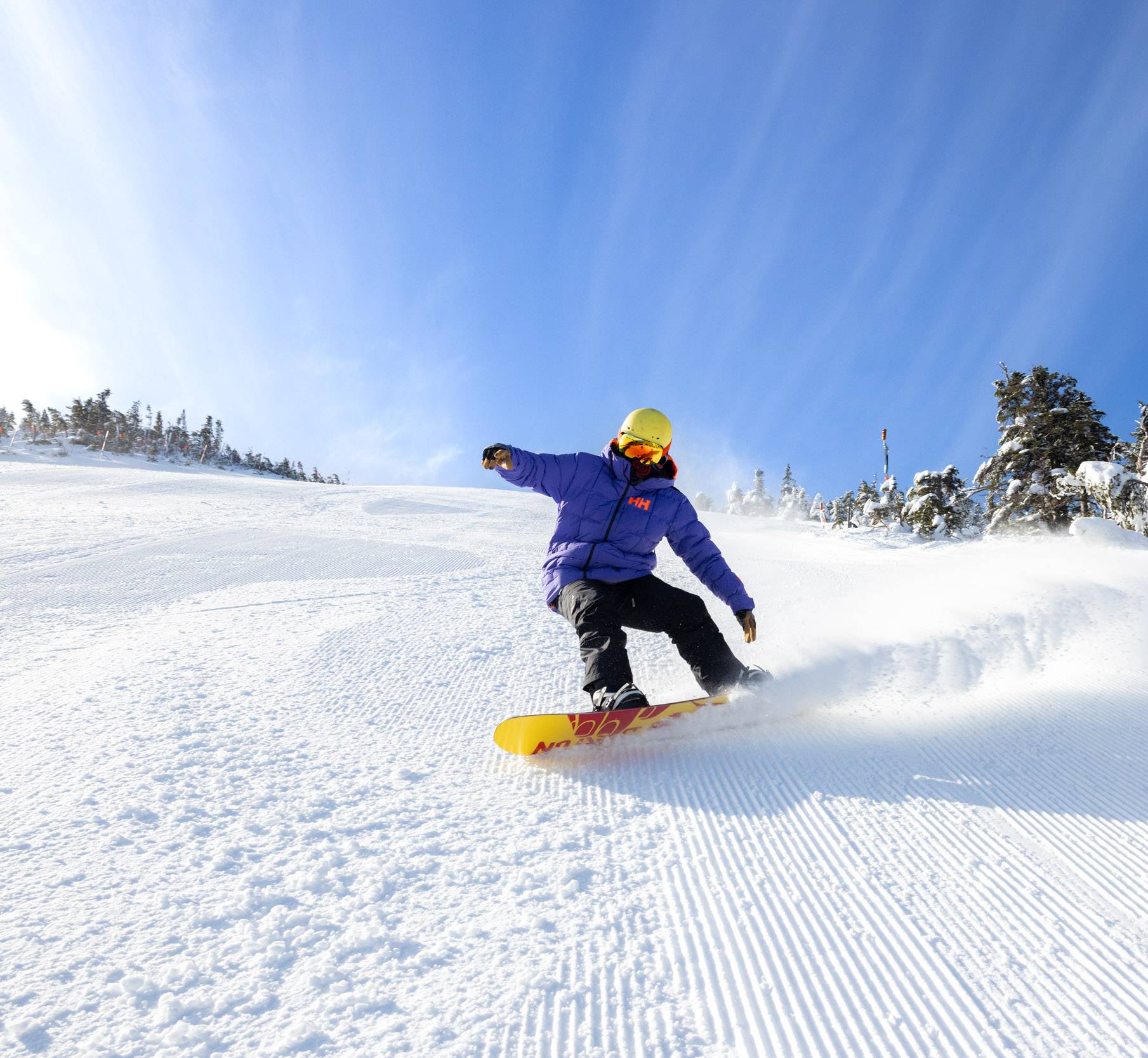 skier in powder snow